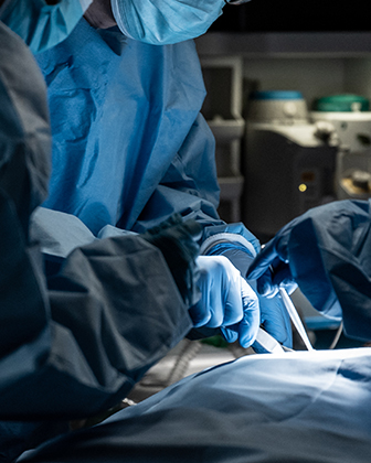 전문 및 특화진료 이미지