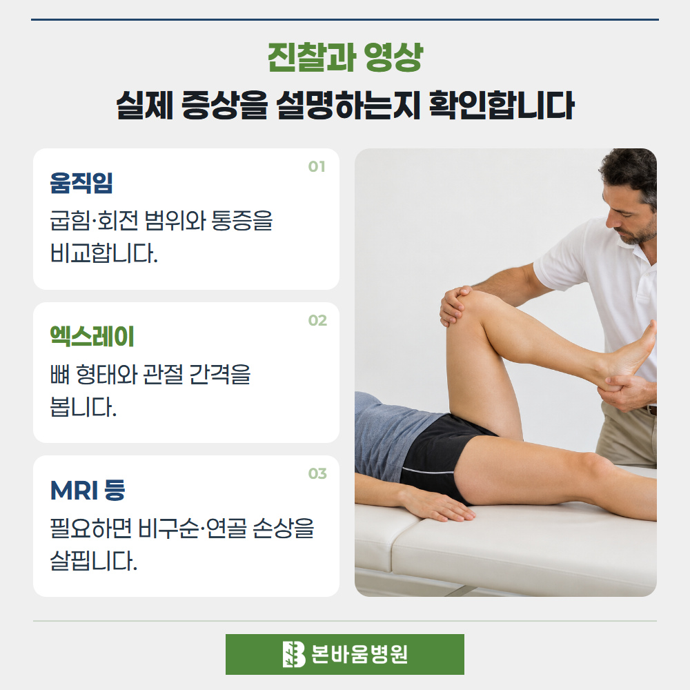 은평구정형외과 고관절 굽힘 범위 진찰 — 진찰과 영상 · 실제 증상을 설명하는지 확인합니다