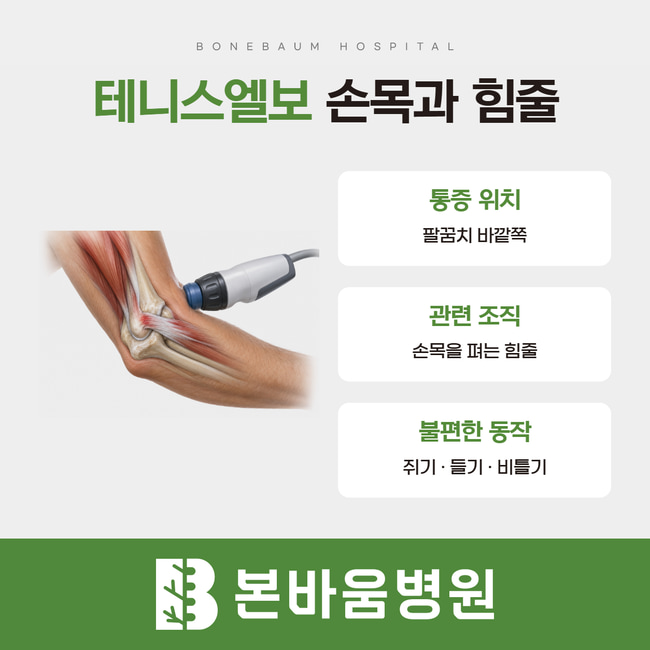 팔꿈치 힘줄 삽화와 테니스엘보의 통증 위치, 관련 힘줄, 불편한 동작 설명