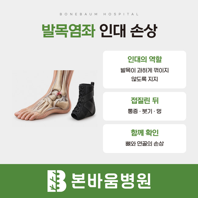 발목 인대 삽화와 보호대, 인대의 역할·접질린 뒤 증상·동반 손상 설명