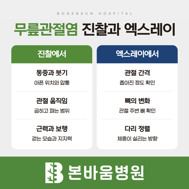 무릎 진찰에서 확인하는 통증·움직임·근력과 엑스레이에서 보는 관절 간격·뼈·정렬 비교