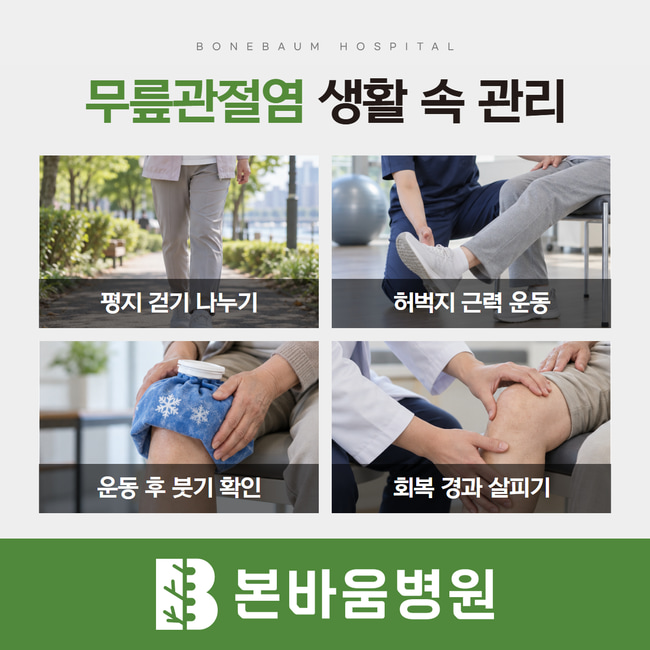 평지 걷기, 허벅지 운동, 붓기 관리, 경과 확인을 네 장면으로 보여주는 무릎관절염 생활 관리