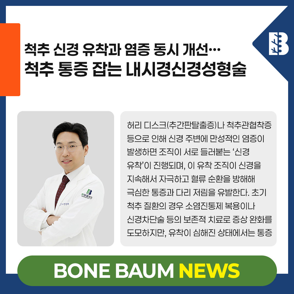 척추 신경 유착과 염증 동시 개선… 척추 통증 잡는 내시경신경성형술